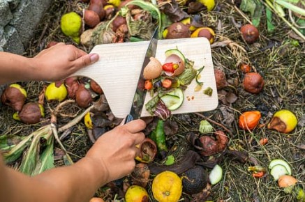 Building Sustainable Cities: Strategies for Food Waste Reduction